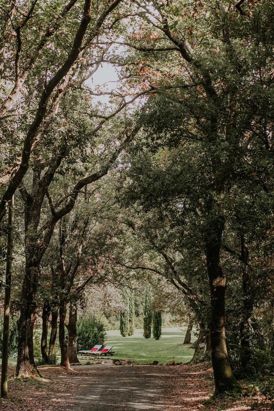 Appartamento Ginestriccio Bibbona Esterno foto